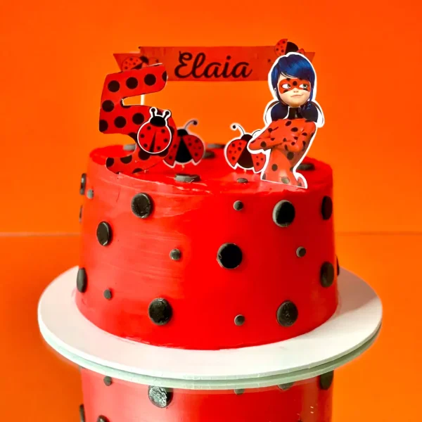 pâtisserie fait maison facile et cupcakes a la vanille livraison a geneve avec images de ladybug du dessin animè miraculous