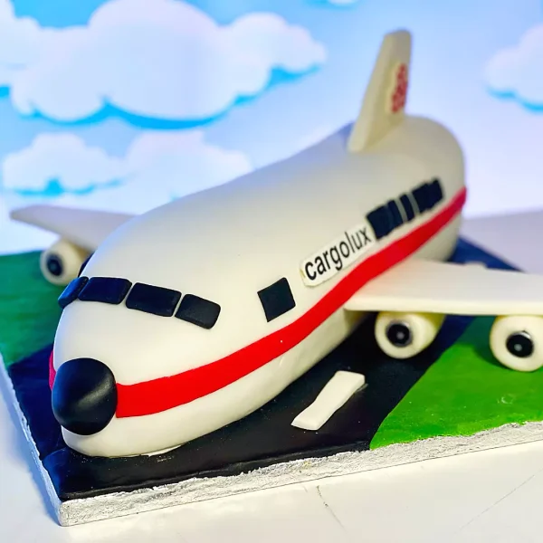 cake design fait sur mesure aux fruits et à la vanille, représentant un avion de ligne et élaboré par la mailleure patisserie genevoise Natcake.